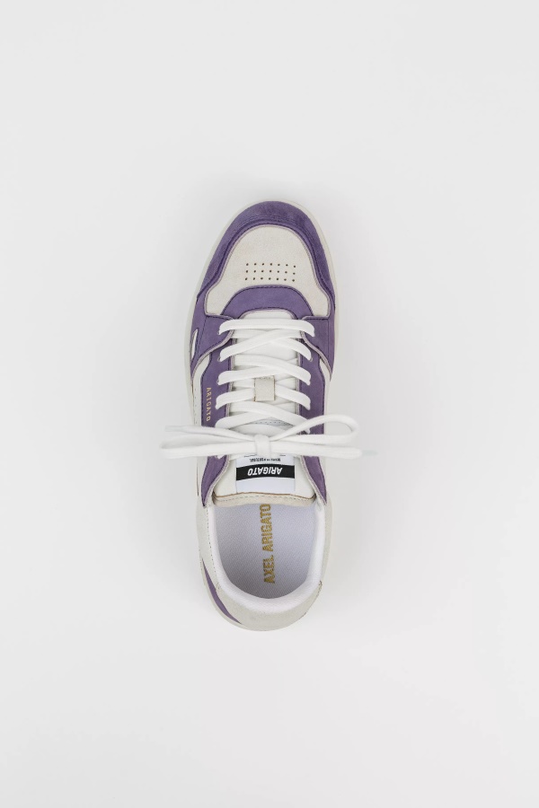 Dice Lo Sneaker Axel Arigato Purple