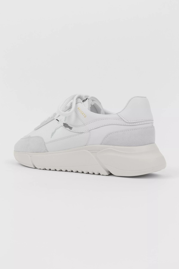 Genesis Stripe Bee Bird White Axel Arigato